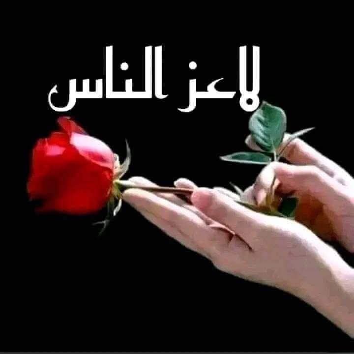 mervatkatara143's tweet photo. بَحرٌ أنا…
أتودّ الغرق؟
اقترب…
فما خُلِقت إلا لتضيع فيَّ،
ولا خُلِقتُ إلا لأحتويك
حتى آخرِ نبضةٍ فيك
فأنا لست ماء 
أنا لهفةٌ إن لامستك اشتعلت،
وشوقٌ إن تنفّسته
نسيت كيف تكون النجاة
بَحرٌ أنا
إن مسّتْك أمواجي ارتجف قلبك،
وإن غصت بي
تكسّرت كل حدودك
حتى تصبح أنت وأنا بلا فاصل❤️ https://t.co/5rWHpfSJDq