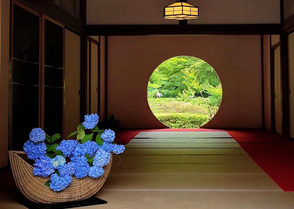 mabucamp's tweet photo. おはようございます
去年の今頃
鎌倉の紫陽花がキレイだった｡😊
全国的に梅雨入り
間近でしょうか？
今週もよろしく
お願いします｡😊
#去年の今頃
#鎌倉
#明月院
#紫陽花 https://t.co/gqw5Vd1I6E
