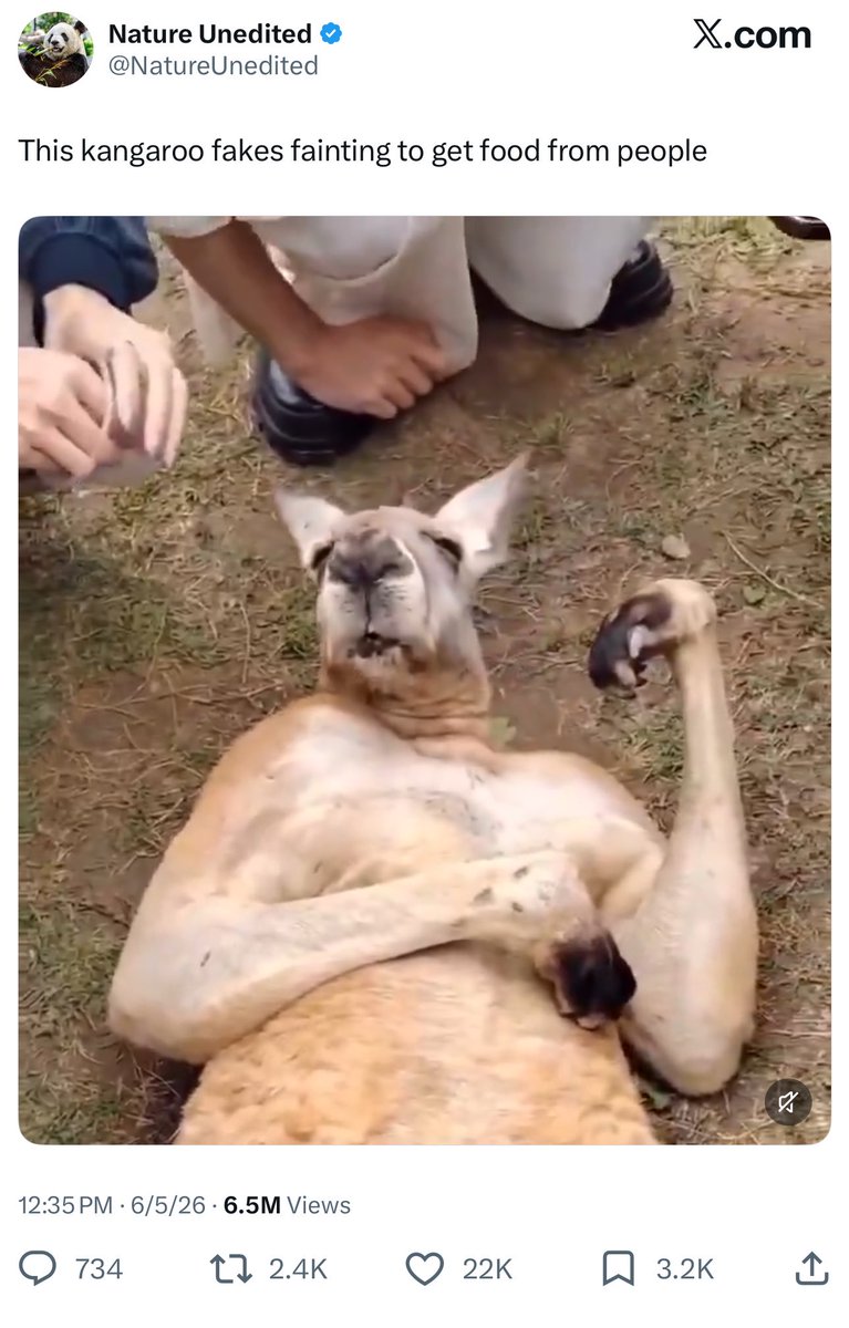 grIgenius's tweet photo. i do this to my taurus moon sister all the time https://t.co/lKolQVkcas