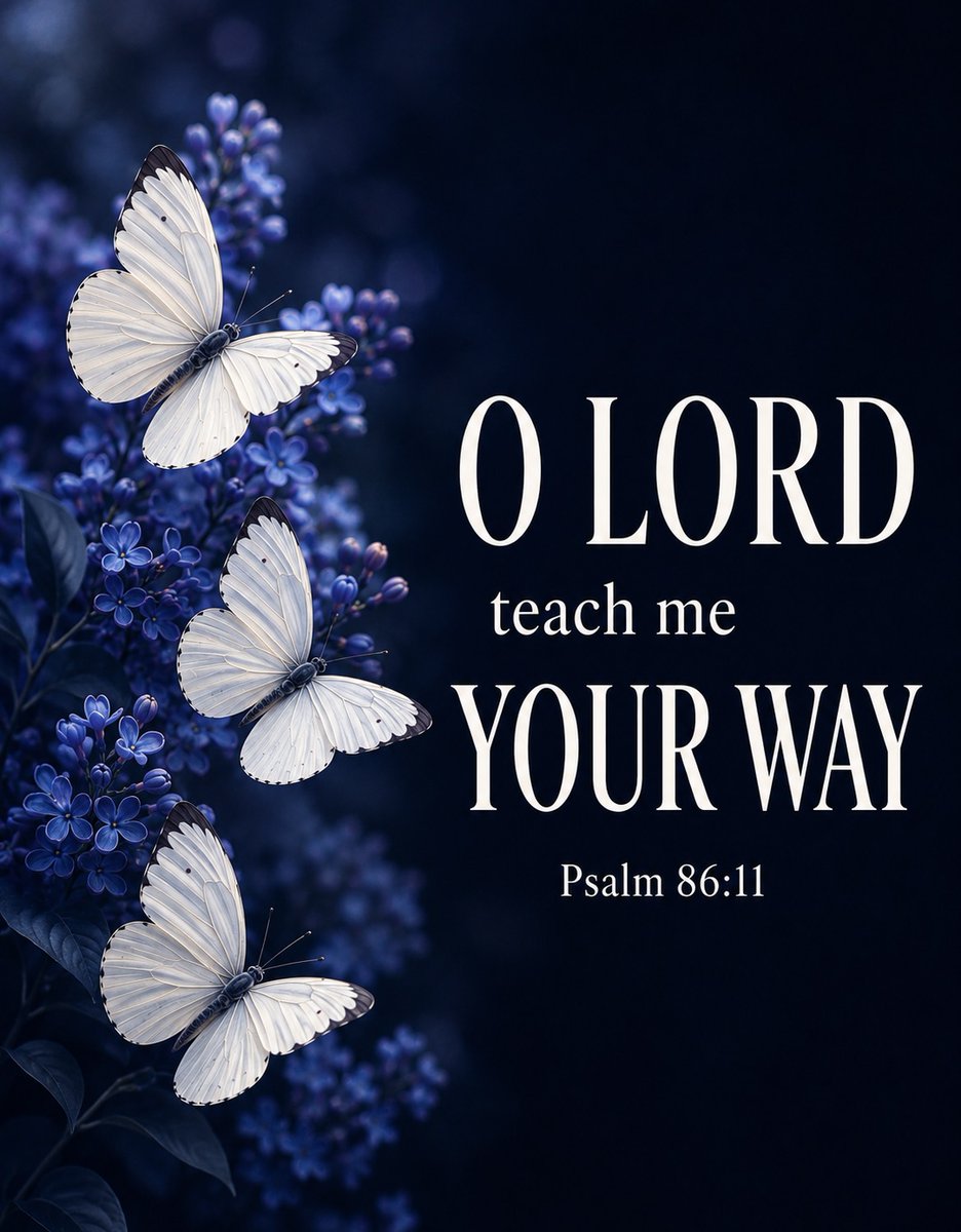 tolocarsa's tweet photo. 📖 Psalm 86:11 (NKJV)
"Teach me Your way, O Lord;
I will walk in Your truth." https://t.co/l02uGp63V2