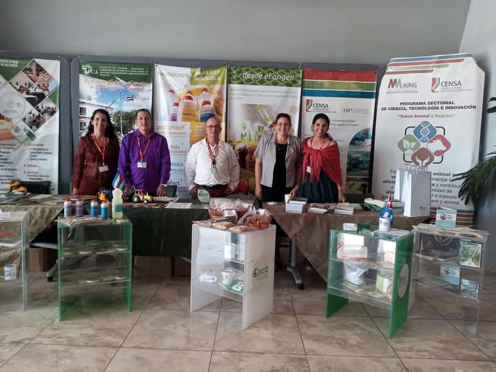 ICACuba's tweet photo. Segunda jornada de la feria asociada el Congreso Internacional AGROCIENCIAS 2026 en Varadero, Matanzas, Cuba.
El Complejo Científico Docente Productivo Mayabeque estuvo presente.
#Cuba #ICACuba #ciencia #Agrociencias2026 #INCA #UNAH #CENSA #ECM #Mayabeque @CubaMES https://t.co/d3nB347mfX