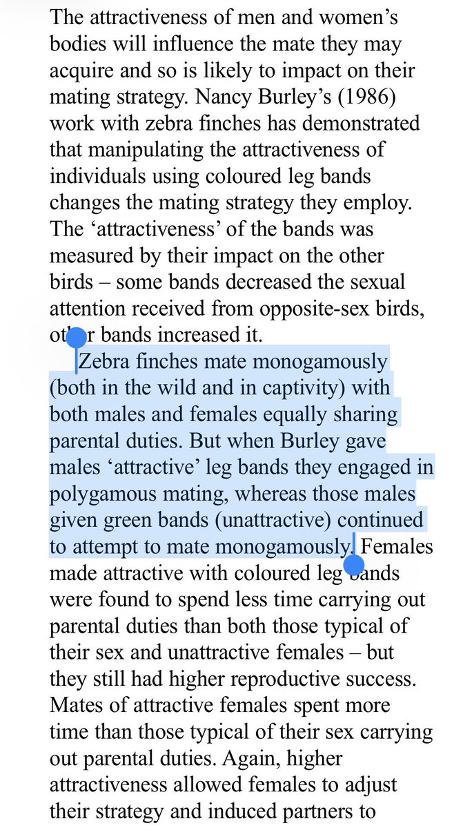 MackenMurphy's tweet photo. Funny experiment: Male zebra finches outfitted with sexy accessories became polygamous, while those given unsexy accessories stayed monogamous. https://t.co/asrGa8VaEC