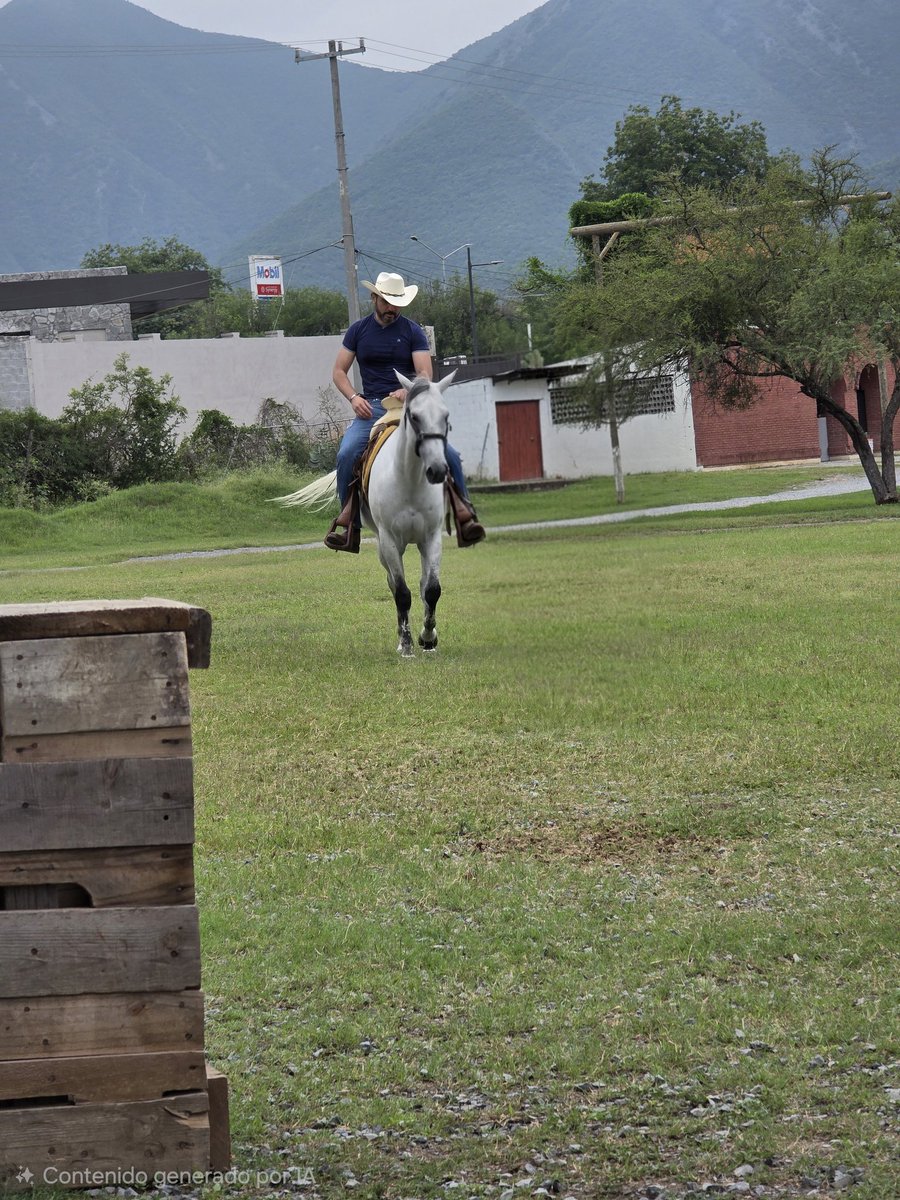RubenMoreno83's tweet photo. 🤠🐎💪🏻 https://t.co/2dNGe16oKK