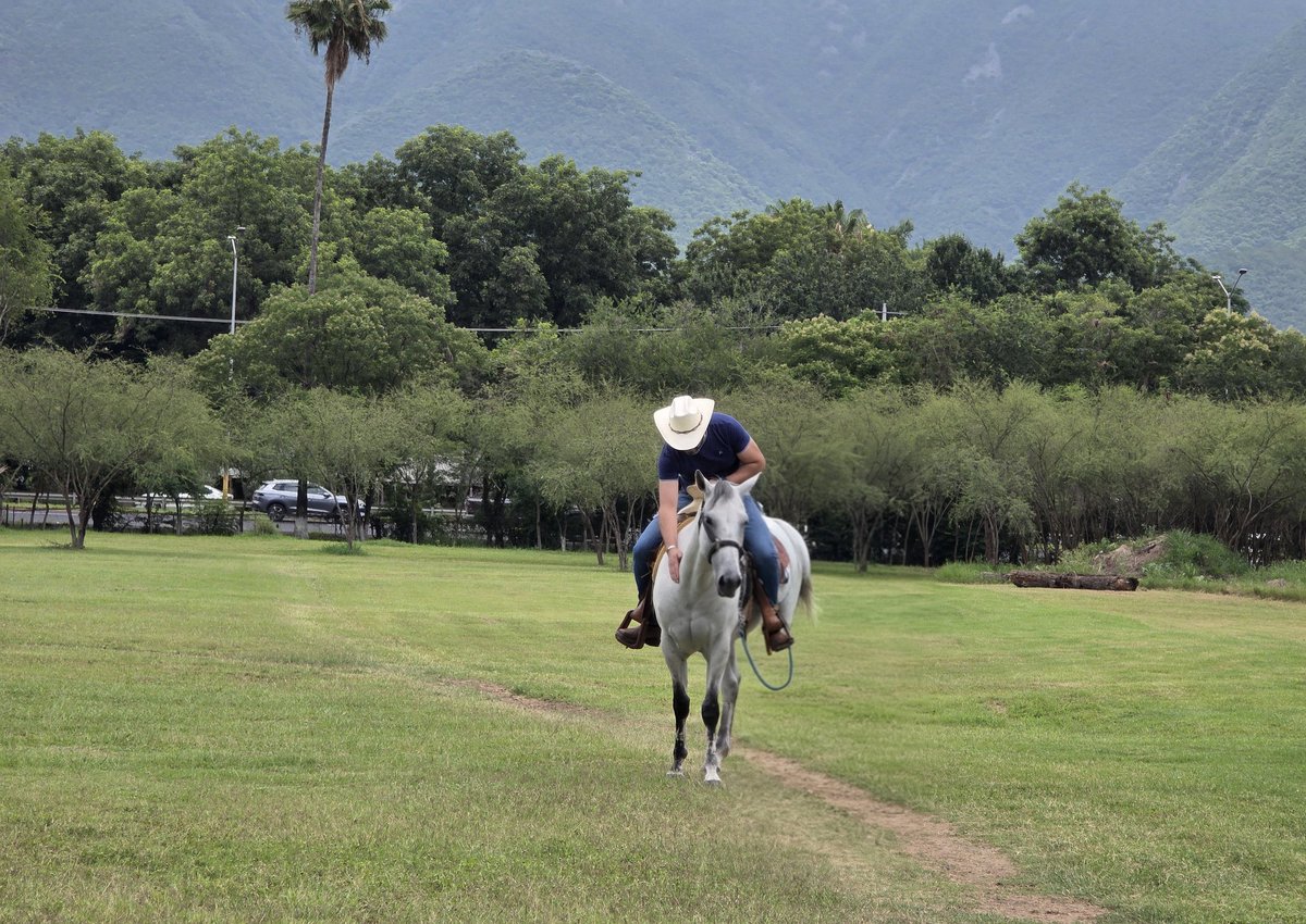 RubenMoreno83's tweet photo. 🤠🐎💪🏻 https://t.co/2dNGe16oKK