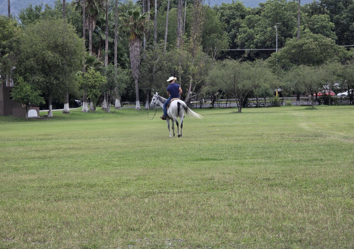 RubenMoreno83's tweet photo. 🤠🐎💪🏻 https://t.co/2dNGe16oKK