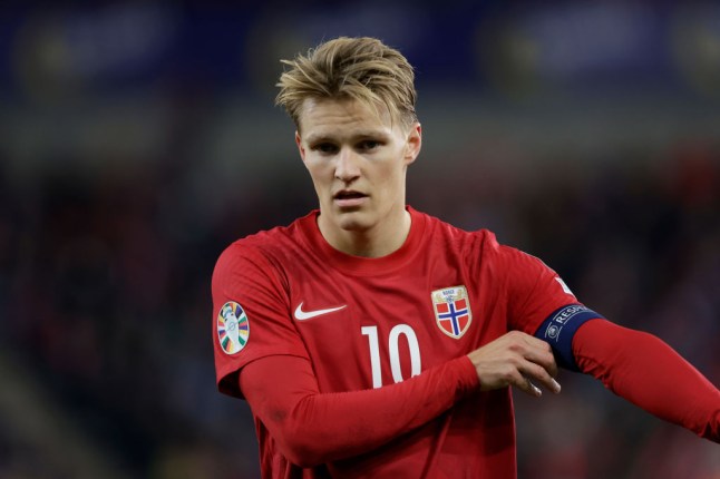 giggle_me2's tweet photo. Our captain scored for Norway. Gunners are vibing all over their countries. https://t.co/fWiTCwAMHh