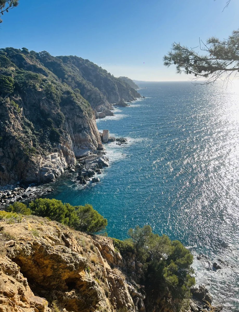 Priest24's tweet photo. Just wrapped a smooth 2-hour train trip to the coastal town—sunshine and sea breeze already here! https://t.co/0nxRCjMyFR
