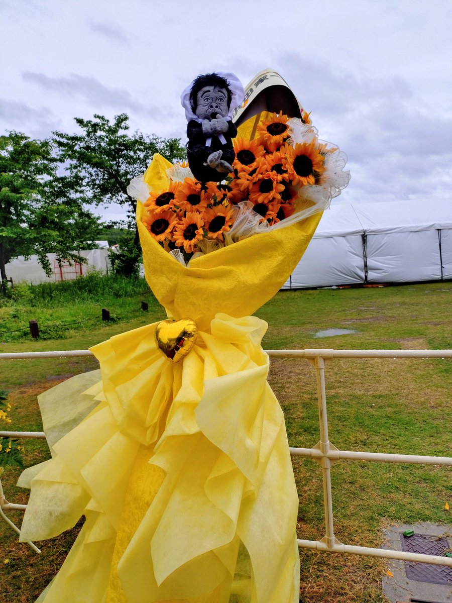 NUIOOOOOOT's tweet photo. 結果発表〜!!
結局4時間半ずっとずぶ濡れ一時は風もすごくて私史上最大に過酷だったけど民生さんで前に行ってから終演までDブロックの前方にいた
チキンライスで浜ちゃん泣いちゃって自分も号泣、お前の他に誰がおんねん!!でまた号泣🤣
やっぱダウンタウンが大好きやー
🌻🦍🌻 https://t.co/0j2BMO6vSY