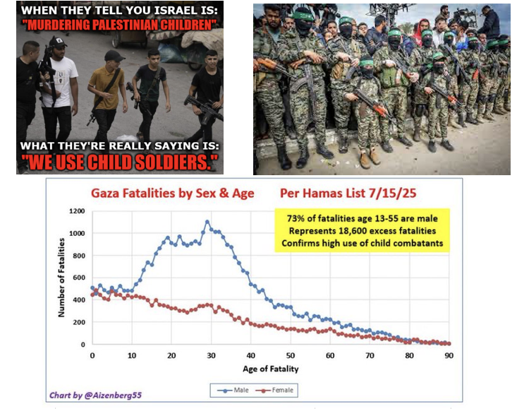 3BlockModelUDL's tweet photo. What have you done for the Palestinian people? 
I protested Netanyahu and the settlements in the 90s, ran childrens' programs, and taught special ed. You?  

Tell me about all the good you've done, besides spreading hate that does absolutely nothing to help the Palestinian people.  Try imagining being her. Why are ten men dragging a girl  into a field and then throwing her on the ground? https://t.co/bChGegZkDQ 

Genocide requires the intention to destroy an entire people. Israel has 2 million Palestinians living in Israel with full citizenship rights. If they wanted to destroy a people, they would start there.  The only intention is to destroy Hamas.    I'm not anti-Palestinian, and I'm not pro Netanyahu.     

But I'm logical, and real. If Israel wanted to destroy Palestinians it would have been done before the world could blink. 

Every IDF soldier goes around killing children? Really? So the men who strangled Ariel Bibas with their bare hands - we can then assume every Gazan kills babies and then crushes their heads with rocks?  

The IDF are 17-18 year olds conscripted straight out of high school. THEY ARE KIDS. They spend their whole life being told not to go near Gaza, watch their friends raped and murdered, and then get handed a gun and sent into Gaza.  THEY ARE TERRIFIED.  They shot their own hostages who had escaped! Some of them shoot everything that comes running towards them because they are scared.  

Hamas uses child soldiers, and straps bombs to children. They have no idea who is friend or foe.  Most do not kill kids, or a whole lot more than 17,000 people aged 0-100 would be dead. 
Yes, 17,000. Hamas says 67,000. 
Hamas also says they are paying 50,000 widows of Hamas fighters. 
That means only 17,000 civilians died. Is that tragic? Absolutely. Is it a mass slaughter of children, absolutely not.  All you are doing is fanning hate that results in Jewish kids being attacked around the world.  

YOU ARE THE ONE KILLING KIDS.  https://t.co/pTHGILEKQL 

The claims of snipers shooting at kids have been disproven. The Xrays show unexploded bullets - they were obviously on top of the child's head when it was taken. If you've ever been at a school shooting, you would know - there is a lot of damage. Here you see no entry or exit would, and no schrapnel. The bullet would not still have a point.