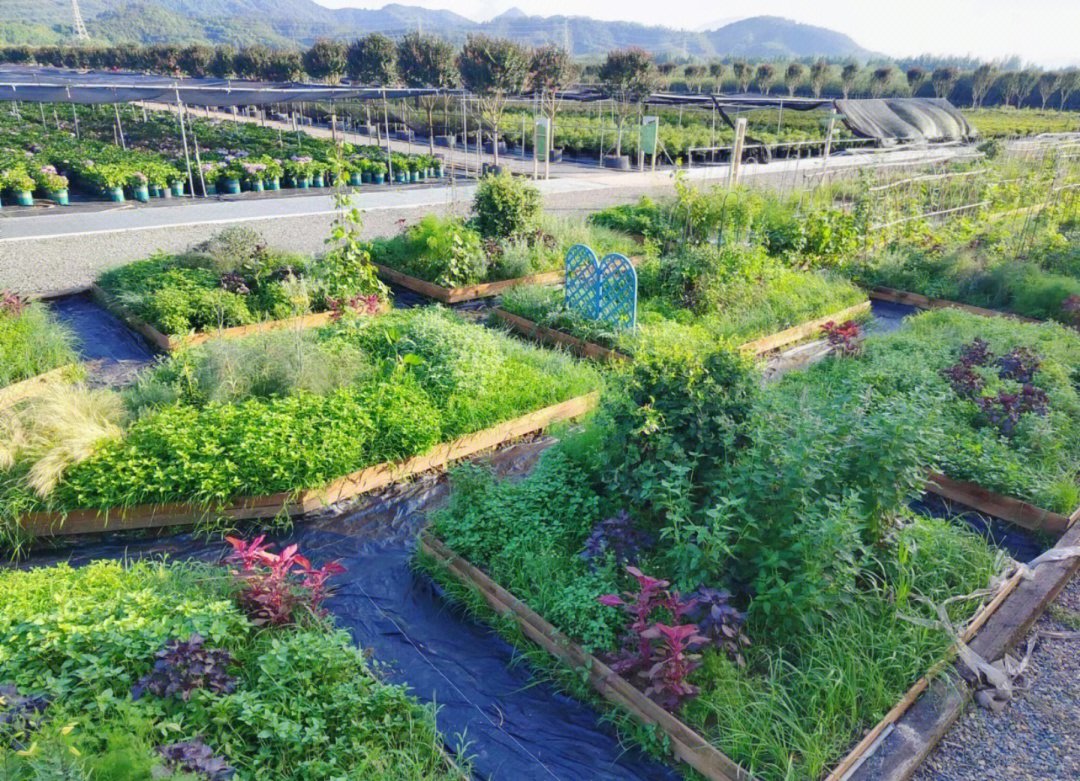 BPadalis's tweet photo. [Join our weekend community garden clean-up this Saturday (9AM-12PM)! Bring gloves u0026 water, meet at Central Park garden plot. Let’s green our neighborhood together!]， https://t.co/ySLCW8MAFC