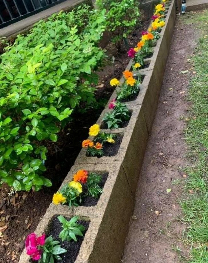 dawnclark6's tweet photo. #gardening #flowerbeds 🌞 https://t.co/sRITy4QmrS