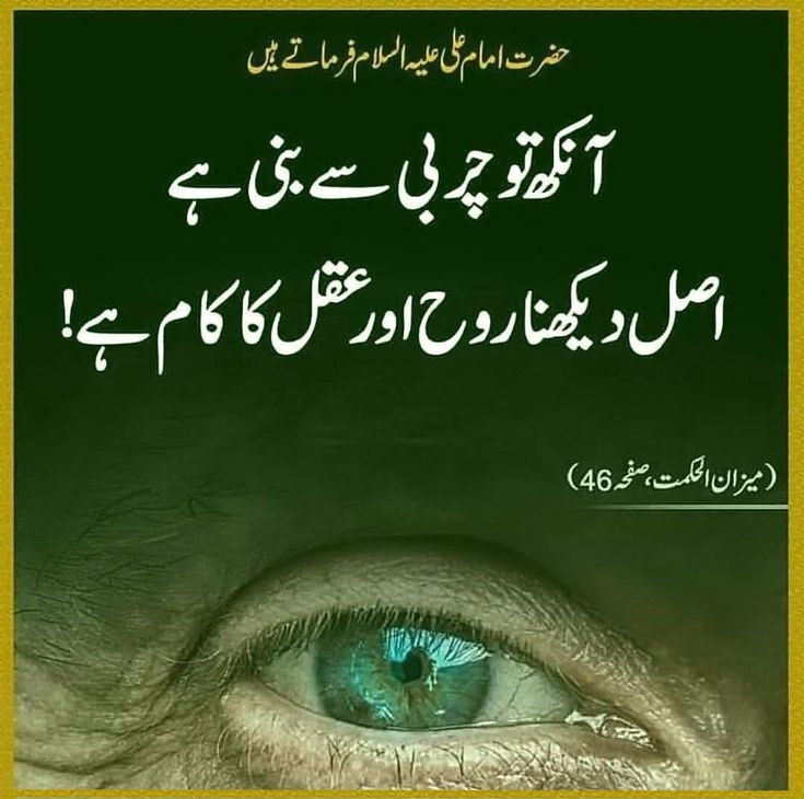 dimahzehra's tweet photo. فرمان امیر المومنین مولا علی علیہ السلام. https://t.co/DFetJYiDHU