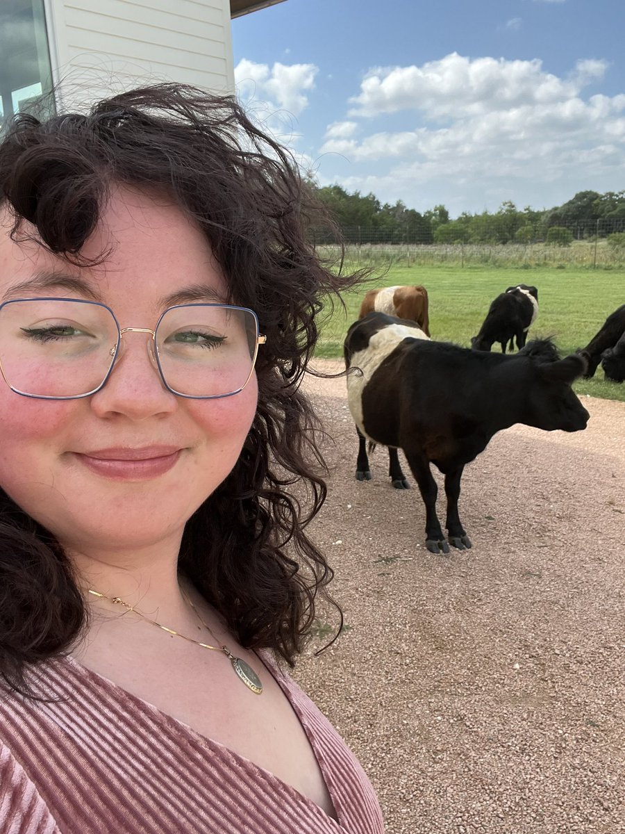 cinemacurls's tweet photo. at a wedding and there are cows????? https://t.co/1msjdSsrUz