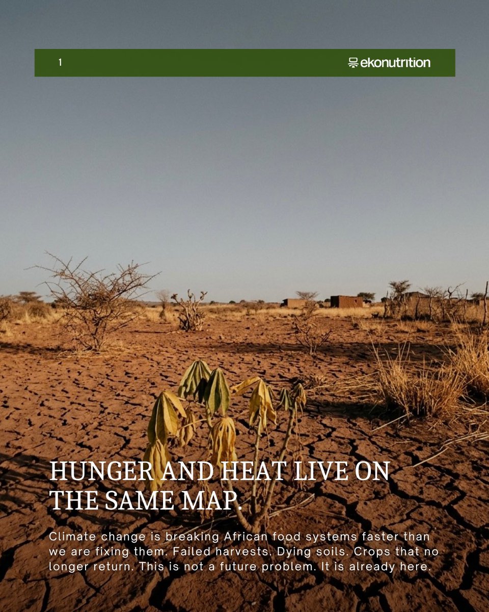 ekonutrition_'s tweet photo. Climate-smart eating in Nigeria is not new.

Our grandmothers were already doing it.

Cowpea. Ewedu. Millet. Drought-tolerant. Nutrient-dense. On our plates for centuries.

We do not need to invent the future of food. We need to remember it. https://t.co/1RCLfDkx8i