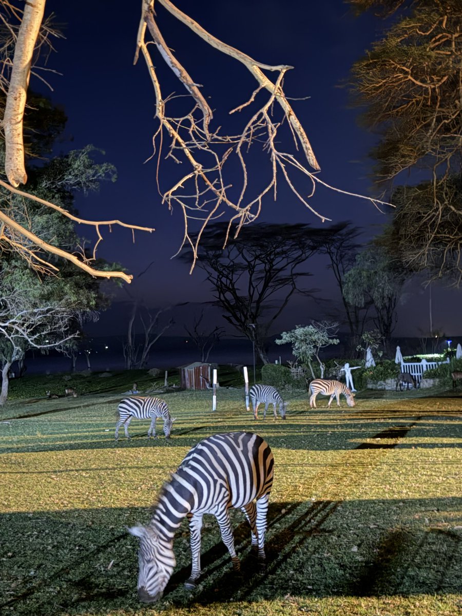 bright_259's tweet photo. Tough weekend now that @kemboi__amos  left me huku Nakuru 😭, so I made a quick getaway to Naivasha for the weekend. https://t.co/IQ2qZDGqbF