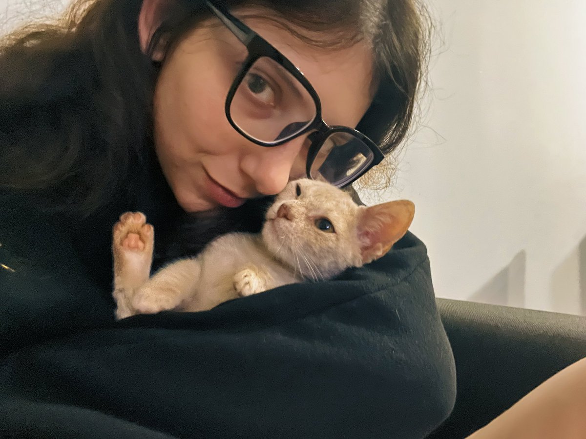 _sofiaifos's tweet photo. Disminuyen las ganas de matarse en este domingo lluvioso y helado porque estoy abrazada a este felino cobrizo. https://t.co/pYnBoe83jZ