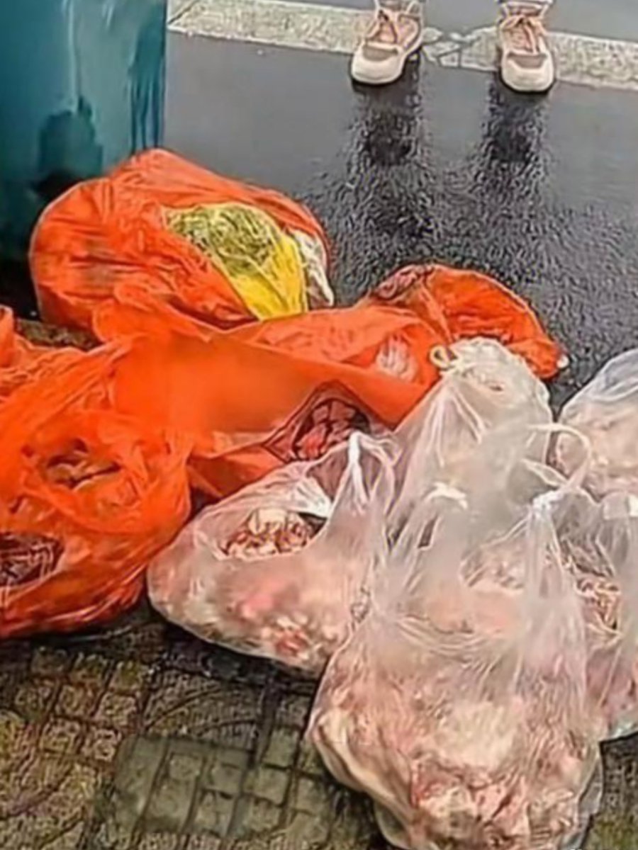 MohamedAkadam's tweet photo. Just helped an elderly neighbor carry her groceries up the stairs—her smile made my whole day brighter. Small acts of kindness = big difference! https://t.co/2Zw0VBe1vx