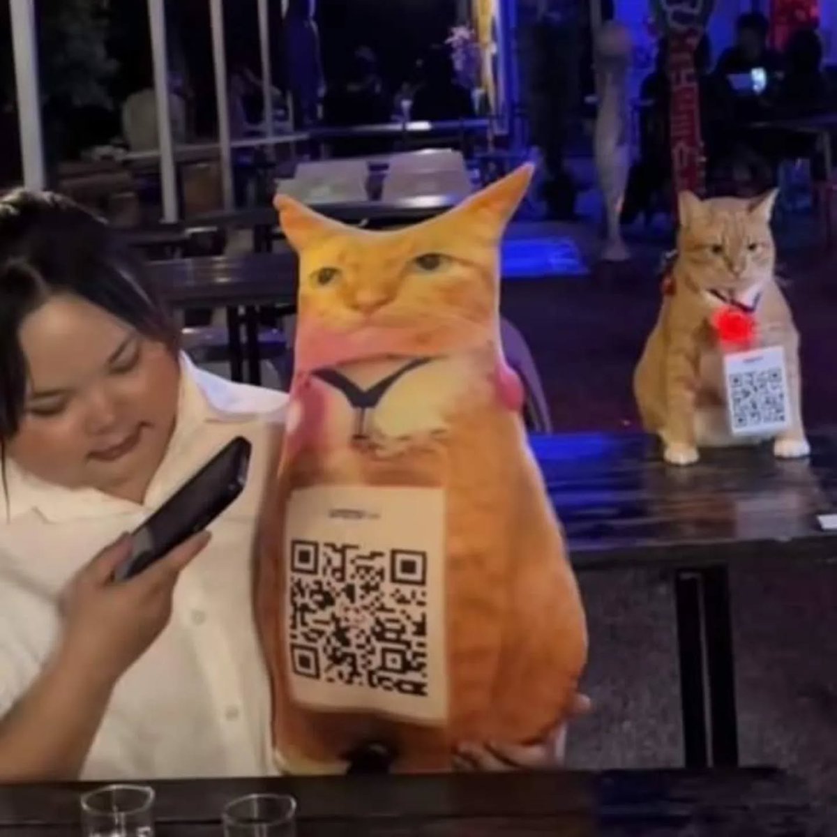 PunchingCat's tweet photo. https://t.co/AA4YBl8lo1