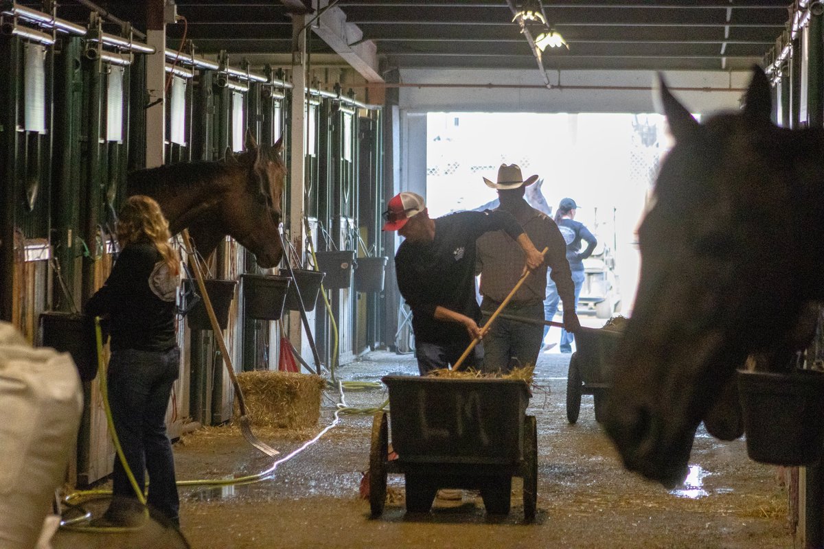 CSchuckwagons's tweet photo. 🐴🤝 This sport runs on teamwork.

Before the race &amp; long after the finish line, barn crews, family members &amp; friends work tirelessly to prepare, support &amp; care for the horses. Their dedication behind the scenes is what makes chuckwagon racing possible.🐎❤️

#CSChuckwagons https://t.co/r3qZKnyRwM