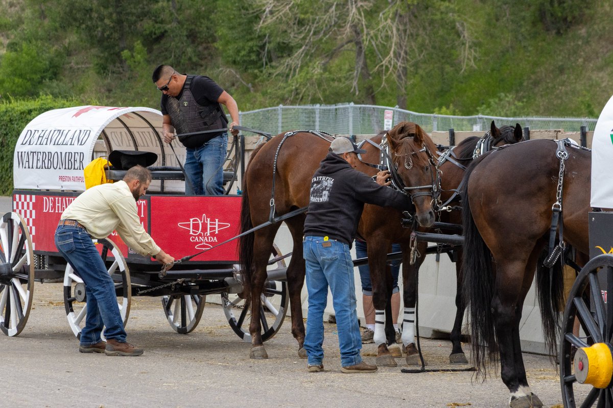 CSchuckwagons's tweet photo. 🐴🤝 This sport runs on teamwork.

Before the race &amp; long after the finish line, barn crews, family members &amp; friends work tirelessly to prepare, support &amp; care for the horses. Their dedication behind the scenes is what makes chuckwagon racing possible.🐎❤️

#CSChuckwagons https://t.co/r3qZKnyRwM