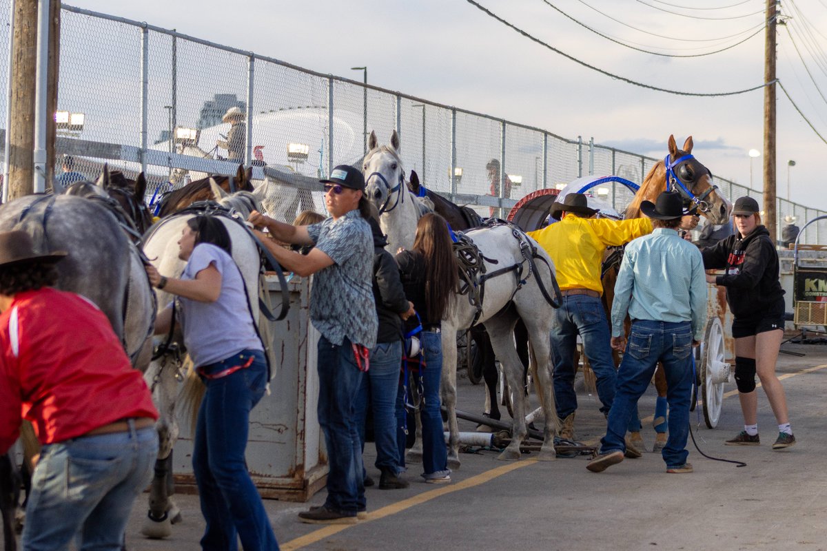 CSchuckwagons's tweet photo. 🐴🤝 This sport runs on teamwork.

Before the race &amp; long after the finish line, barn crews, family members &amp; friends work tirelessly to prepare, support &amp; care for the horses. Their dedication behind the scenes is what makes chuckwagon racing possible.🐎❤️

#CSChuckwagons https://t.co/r3qZKnyRwM