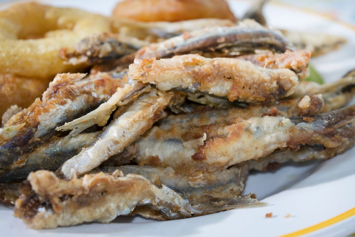 GreekBoston's tweet photo. Seafood small plates that bring the Greek seaside to your table 🐙🍤🇬🇷 Dive into mezedes from the sea with octopus, calamari, shrimp and more — perfect for sharing with friends over ouzo or wine!

https://t.co/LkkDIy4dmO https://t.co/yPbWeWS1Nr