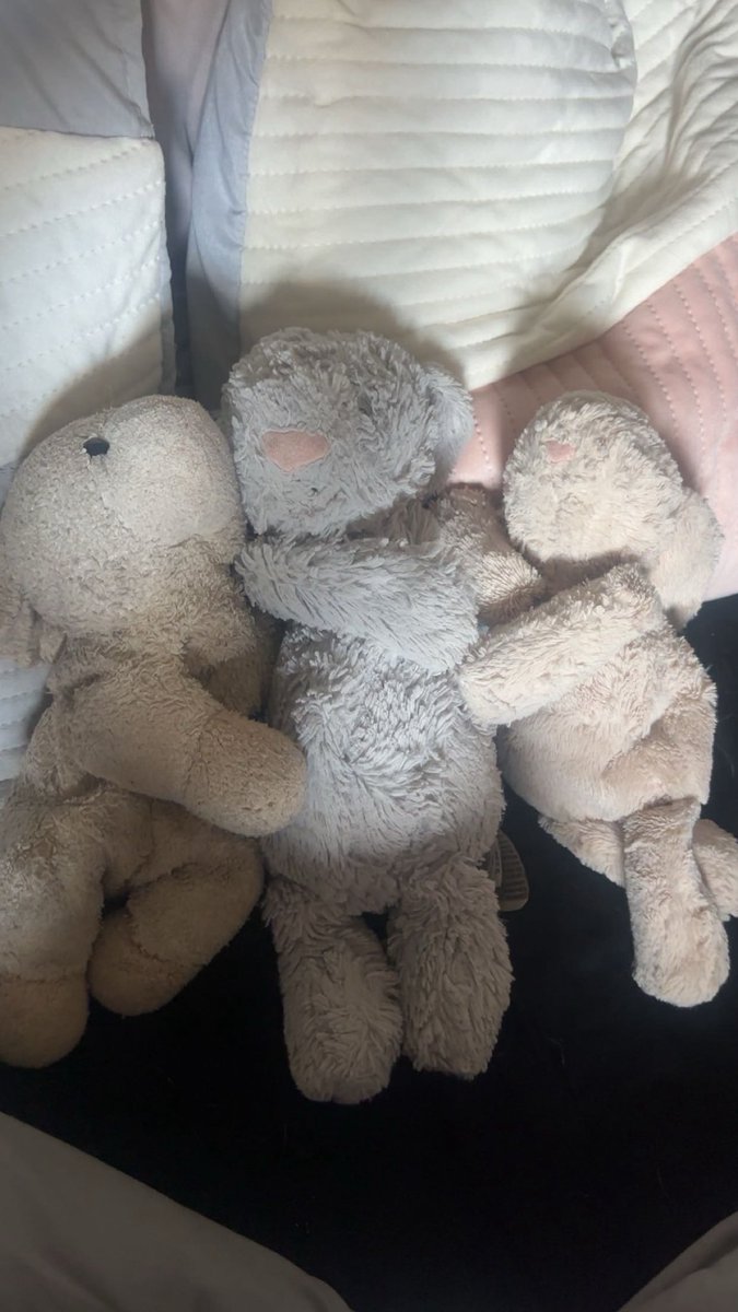 Ashchenfordxo's tweet photo. Here is proof. currently cuddling with friends https://t.co/Pdn1EOszJu