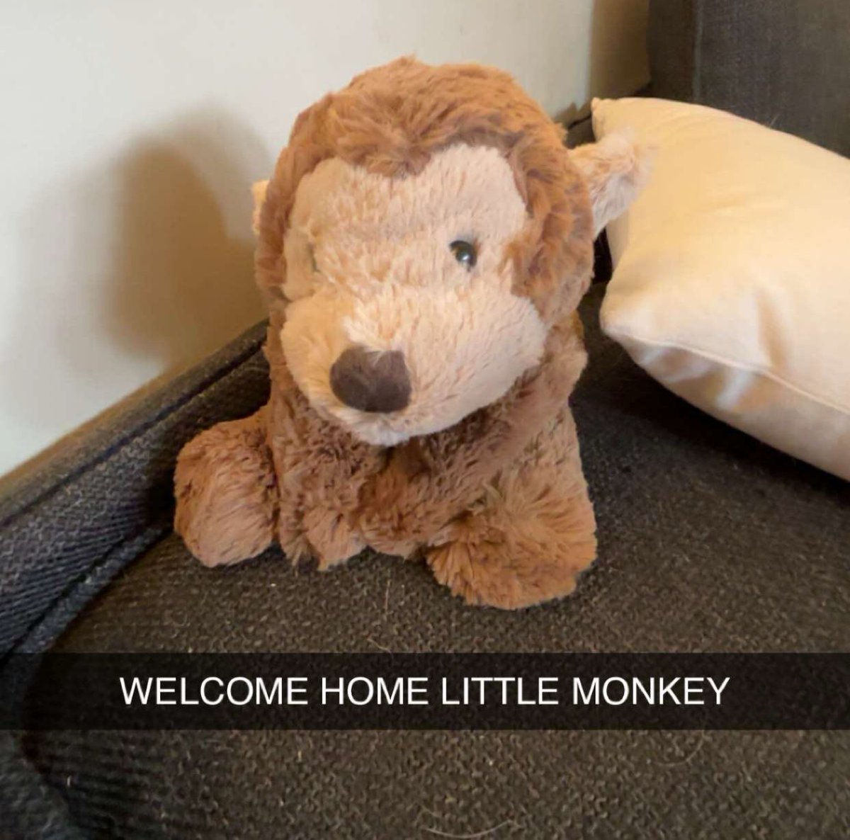 redheadqueers's tweet photo. finally got my jellycat smudge monkey YAAYYYYYYYYYY i think i will name him mr. monkey https://t.co/4DHEOk5ZkO