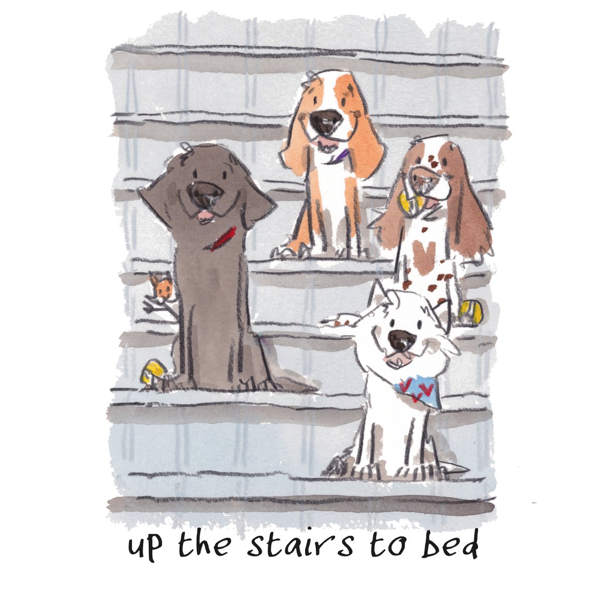 iaindwelch's tweet photo. Good night, lovely people and lovely dogs.
The team are up the stairs to bed.
Sleep well and sweet dreams.
I am wishing you the very best for the week to come. 
#hoorayfordogs #labrador #beagle #westie #springer #redsquirrel https://t.co/NOkM8XMF6S