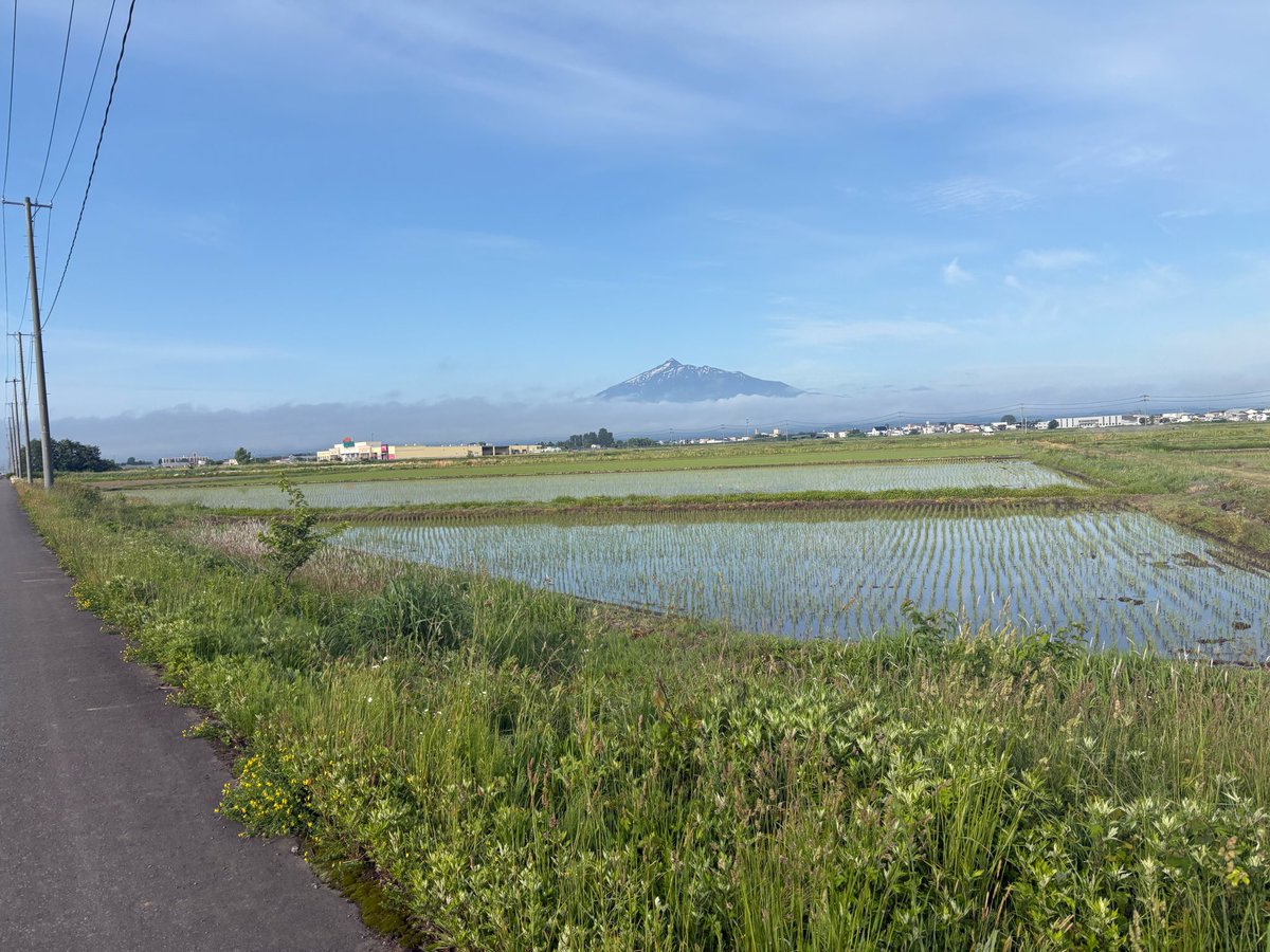 eraism7's tweet photo. 昨日の朝ラン
１時間ほど気持ちよくランできました https://t.co/9RlGMNnBdQ