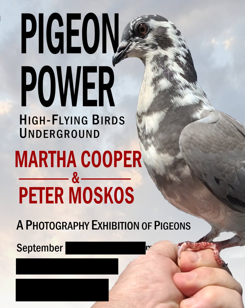 PeterMoskos's tweet photo. I suppose now is as good a time as ever to announce: An upcoming photo exposition by Martha Cooper and Peter Moskos!
"WTF?" you say. "Martha Cooper and Peter WHO?"
Yes, it is quite the honor to partner with her. She's the best.
Underground location TBA. NYC. September. https://t.co/XG5QTtbXKT