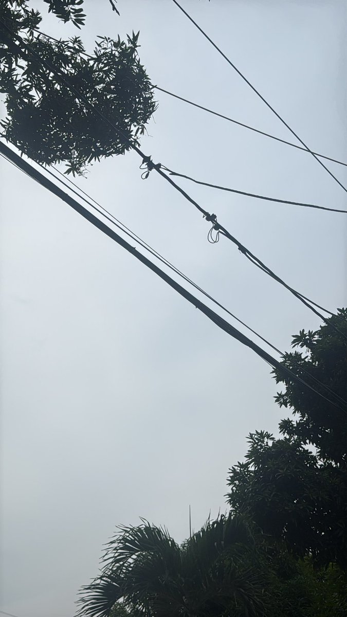 emelyulee_'s tweet photo. @CNEL_EP NO SIRVE SU LÍNEA para reclamos 
Se ha desconectado afuera un cable justo el de mi domicilio y estoy sin luz por favor acérquense urgente ): yo tengo dos niños pequeños una tiene 10 meses , no puedo estar sin luz la comida de la refri se me va a dañar!
SAUCES 3 Mz 194 https://t.co/v0lOEat1BH