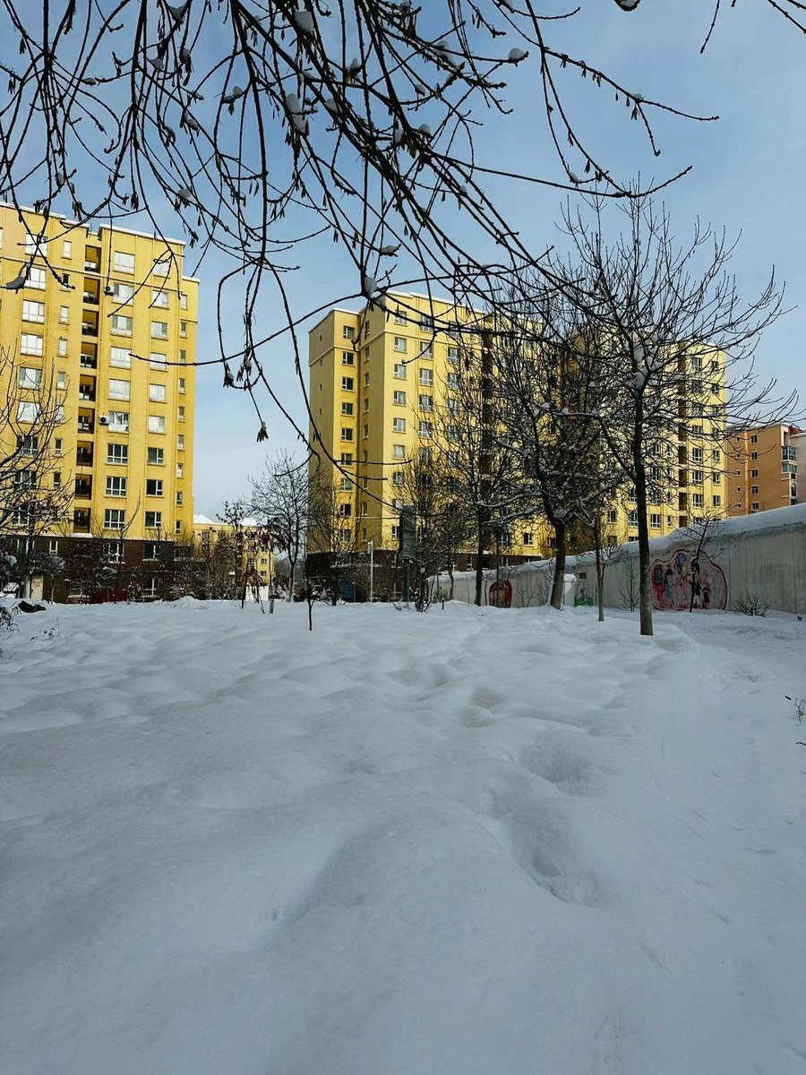 ErvinHeveli's tweet photo. Wow, first snow of the year just arrived! The whole neighborhood is wrapped in white magic, time to grab my scarf and step out for a cozy walk! https://t.co/P8fK8CTV6e