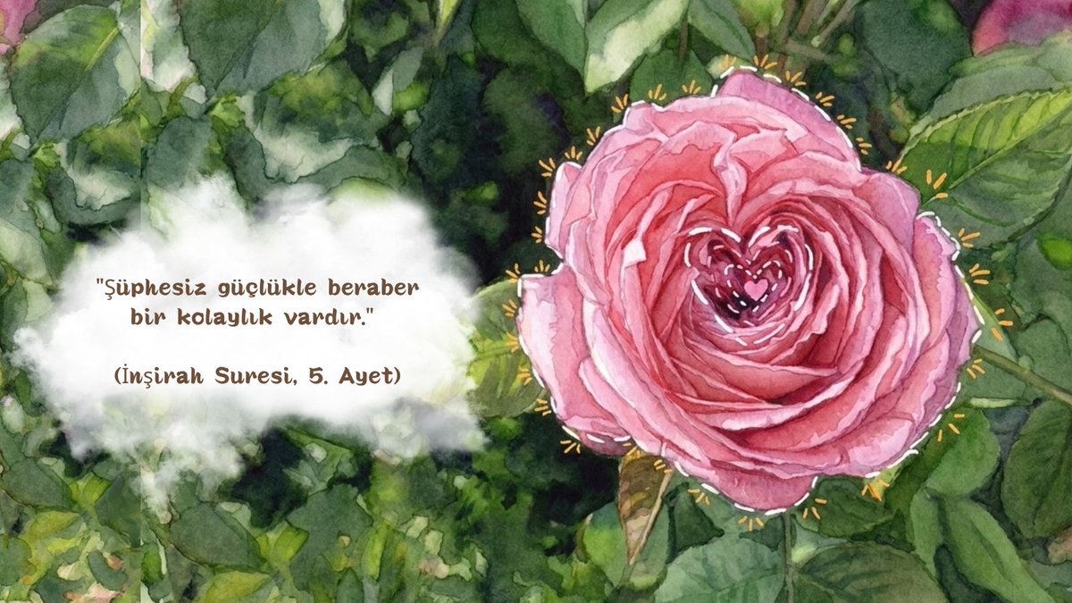 zeymera's tweet photo. 🌱 https://t.co/HScJUc05ME