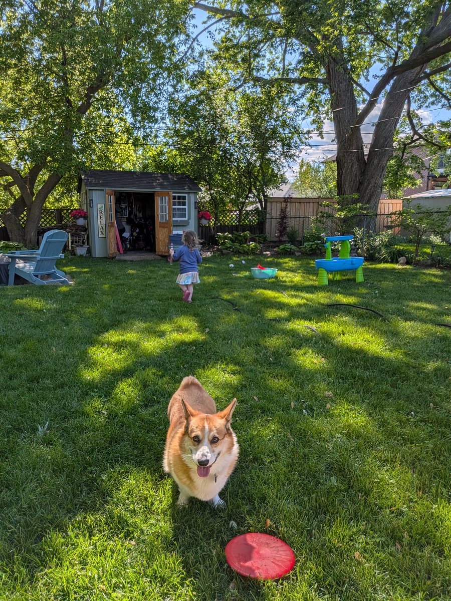 tomsmybeagle aka Betty's Nanny🇨🇦 tweet media