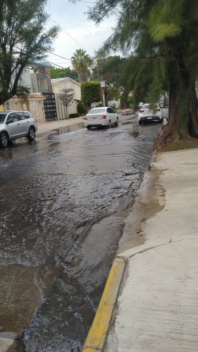pelonanonimo's tweet photo. De Nueva cuenta y como ya es costumbre, un río de aguas negras inunda la colonia jardines de los arcos, aguas que vienen de algún punto cerca al cruce de Santo Santiago y San Gilberto. 

Sin esperanzas de que @ZapopanGob o @siapagdl haga algo, algún día.
@Trafico_ZMG @Notisistema https://t.co/D6wrAD2W3Z