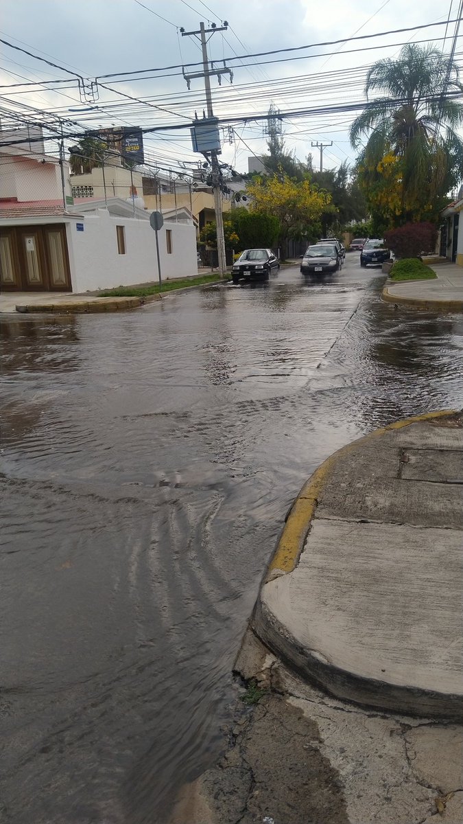 pelonanonimo's tweet photo. De Nueva cuenta y como ya es costumbre, un río de aguas negras inunda la colonia jardines de los arcos, aguas que vienen de algún punto cerca al cruce de Santo Santiago y San Gilberto. 

Sin esperanzas de que @ZapopanGob o @siapagdl haga algo, algún día.
@Trafico_ZMG @Notisistema https://t.co/D6wrAD2W3Z