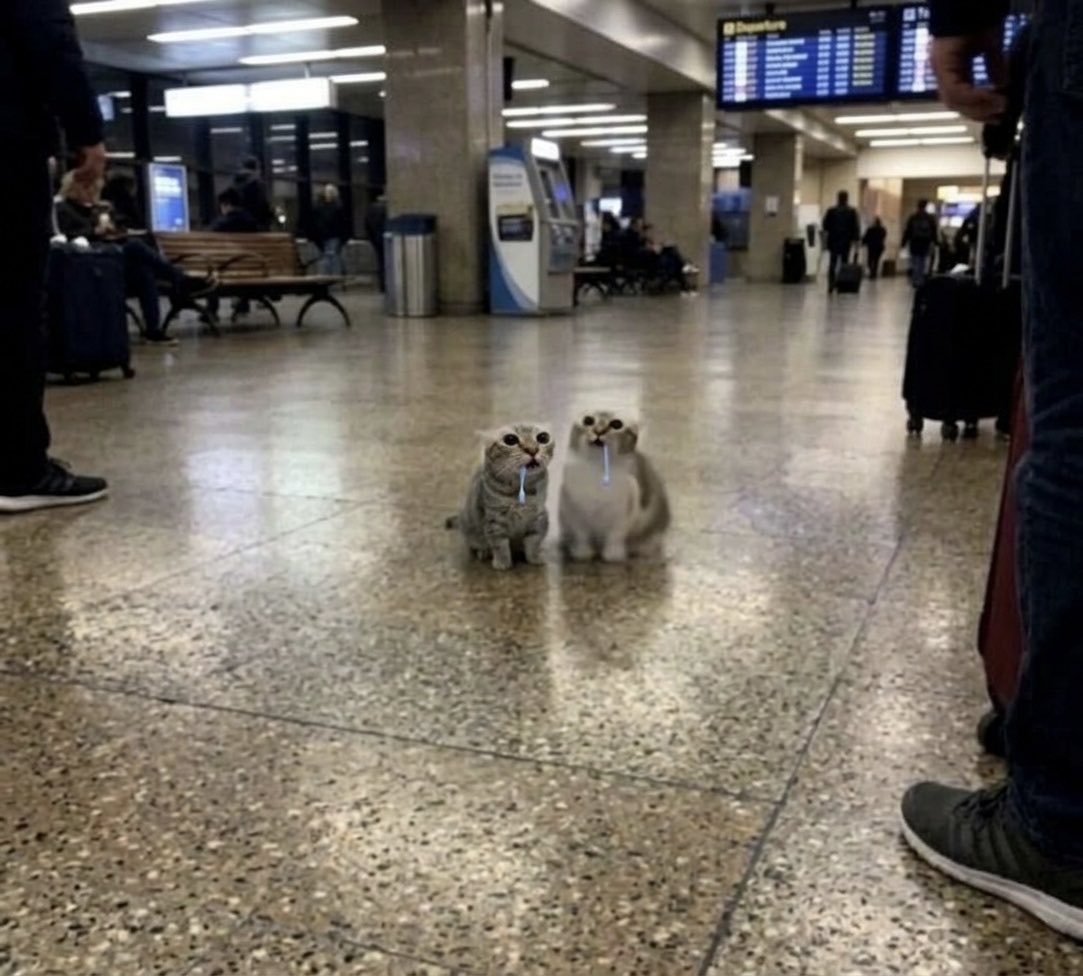 shrimpIeasthat's tweet photo. its just me and twin against the world https://t.co/j1QrtHXuDZ