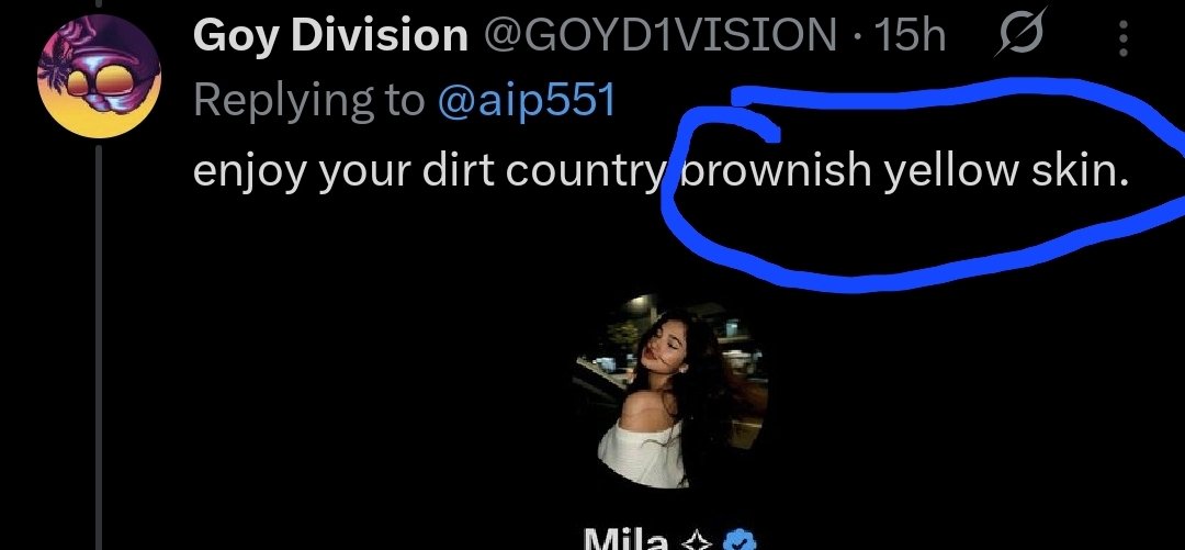Inolikedummy's tweet photo. @KimBroadsword @aip551 @GOYD1VISION There was very clearly a jab at her country and her skin you illiterate retªrd. https://t.co/QQ870qcJLY
