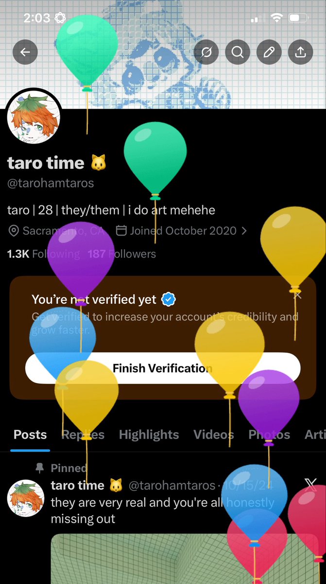 taro time 🐱 (@tarohamtaros) / Posts / X