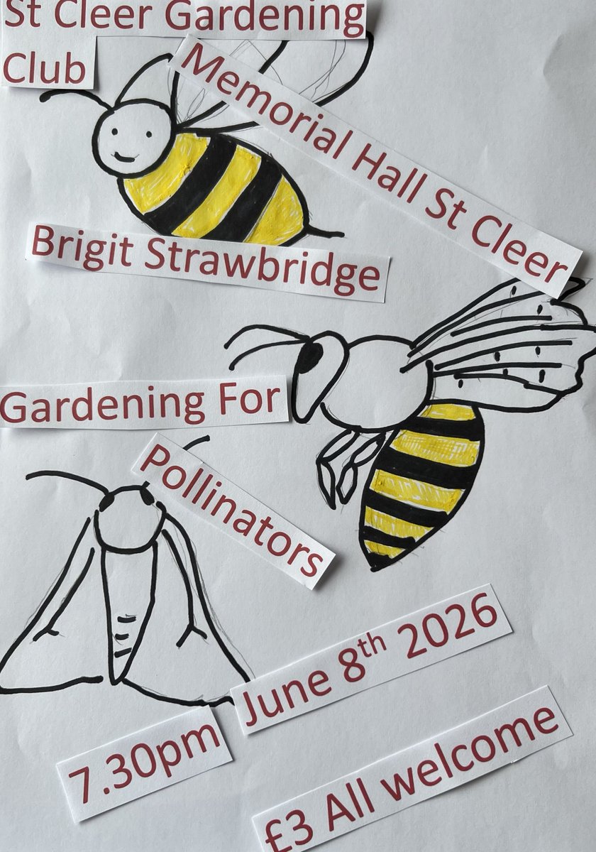 B_Strawbridge's tweet photo. Last call for my talk tomorrow (Monday) evening. 

'Gardening for Pollinators' 
Memorial Hall, St Cleer (near Liskeard) Cornwall 
7.30 pm start. £3  

Rob will also be there, selling our beautiful flowering plants! https://t.co/9cpKLKVCEG