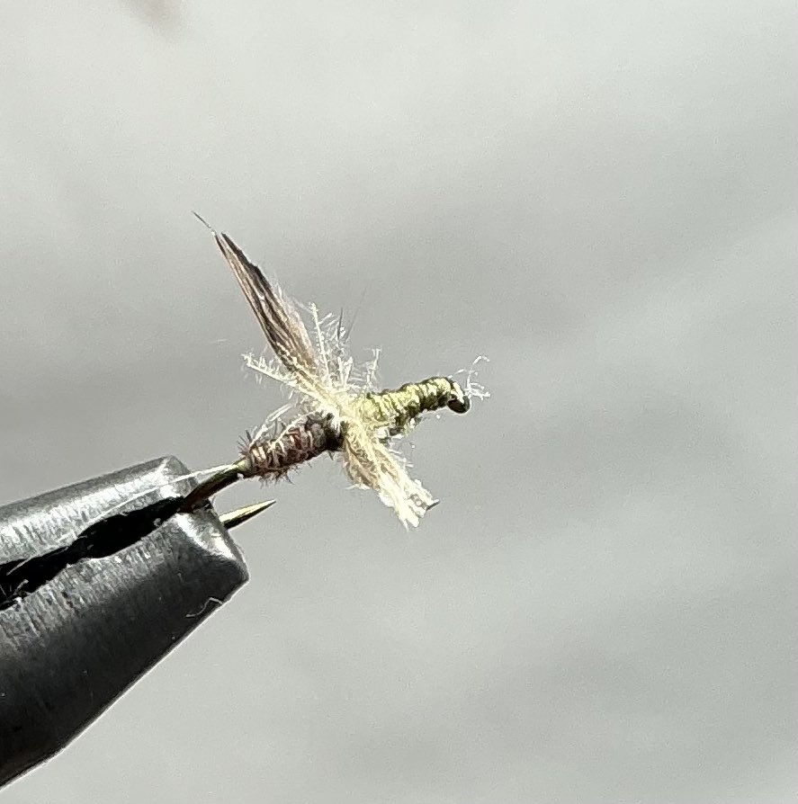 zoneimpactfly's tweet photo. 近年の界面活性物質。

羽化への影響は分からない。

ただ、水面膜に翅を取られた個体は確実に存在する。

ヤマトコカゲロウのスーパーハッチで見たのも、

綺麗なダンより、

斜めになった何かが流れていく姿だった。

CDCとマラード。

こんな考え方もあるのかもしれない。

#フライフィッシング https://t.co/rKBsEMG71e