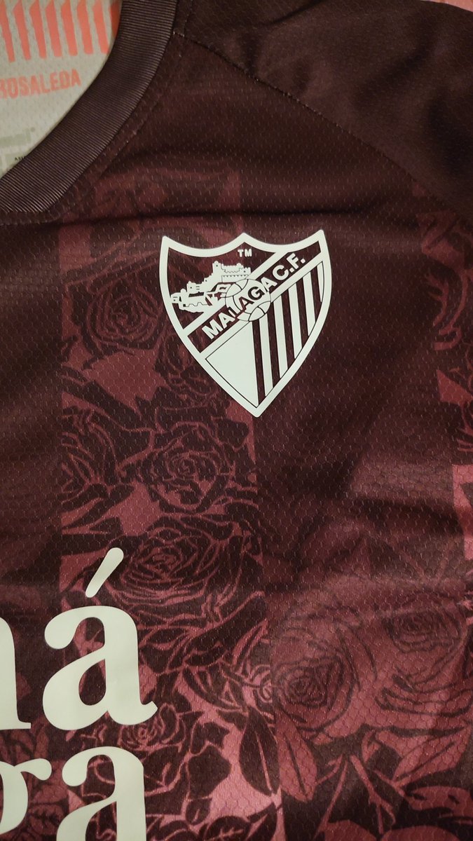 AlbertoZaz's tweet photo. @MalagaCF @famadesa_ Enhorabuena por el resultado, que grandes.
Me dais muchas alegrías en la distancia. Un abrazo y muchos besos para la parroquia boquerona       🩵🤍 
A seguir soñando, ya se ha dado un paso muy importante.
Zaragoza está con vosotros https://t.co/Ta6OKSo1I4