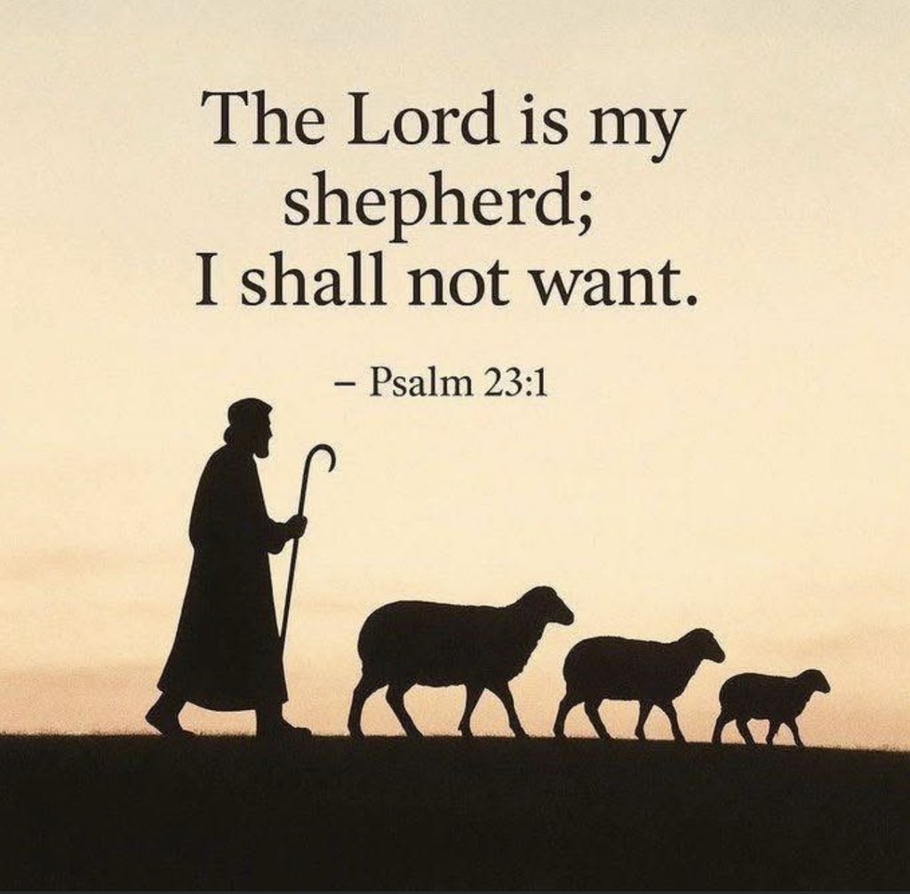 Selah In Zion tweet media