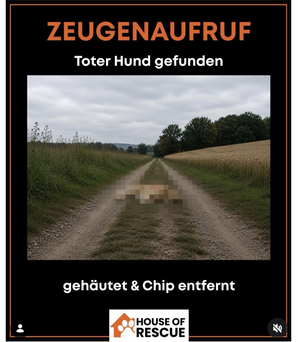 Sonnic_e's tweet photo. Im Unstrut-Hainich-Kreis wurde ein toter Hund auf einem Betonweg nähe der Kläranlage gefunden. Gehäutet und der Chip wurde chirurgisch entfernt. Die Bilder sind so grausam, dass die Polizei die Originalaufnahmen nicht veröffentlicht. Dringend Zeugen gesucht. https://t.co/TRCISW0Fgq