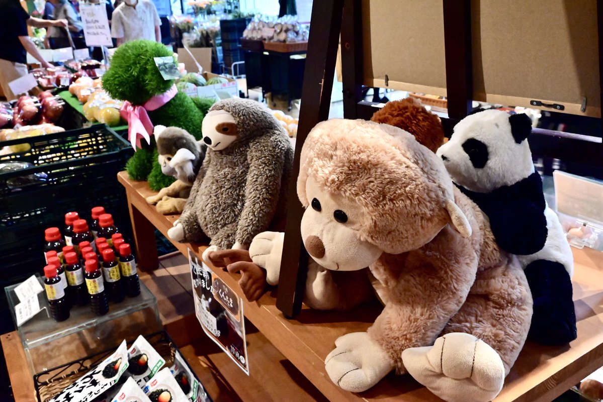 hamutahamuhamu2's tweet photo. 花からモフまで(o-´ω｀-)ｳﾑｳﾑ

 #秋保ヴィレッジ https://t.co/Qa5ta5BwoY