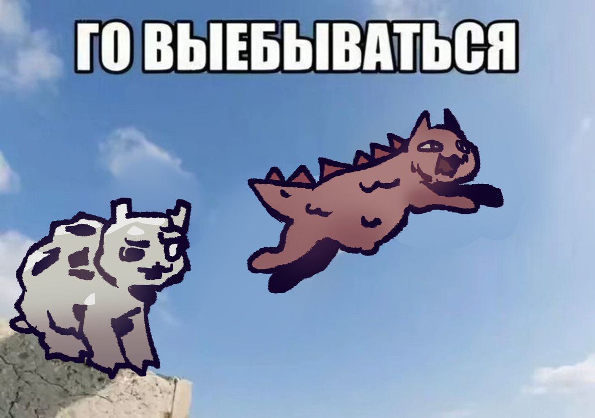 Haptyfu's tweet photo. meow https://t.co/iSZ1jeRhwy
