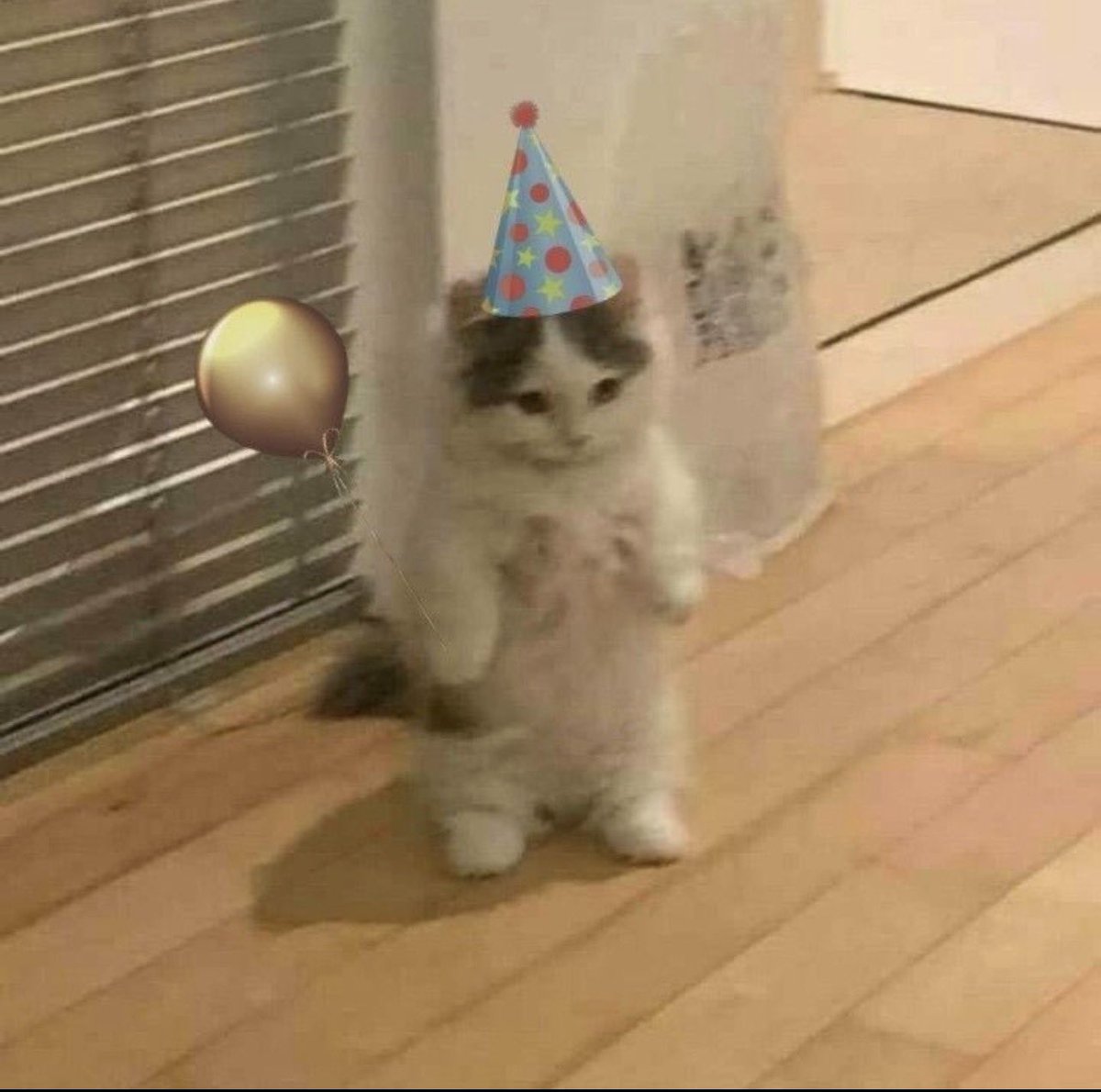 SKAV__'s tweet photo. It’s my birthday , 22🎉🥳 https://t.co/iczXjzaIi1