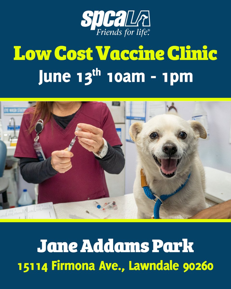 spcaLA's tweet photo. We're offering low cost vaccines for cats &amp; dogs at the Lawndale Health, Safety and Pet Fair in Jane Addams Park! 🐾🩺 Join us on Saturday, June 13th from 10am to 1pm.🐈️

Thanks to a grant from Petco Love, FVRCP for cats and DHPP for dogs is FREE!

https://t.co/jKk3MMCyDH https://t.co/SvFvinHqeV