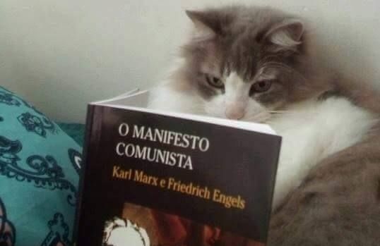 Collin0kcal's tweet photo. Deixando claro aqui que sou too woke &amp; de esquerda e não quero moot de direita e/ou apoiador do bozo. Opinião política define caráter sim e eu não quero gente escrota no meu perfil. https://t.co/9bhCRXeHkB